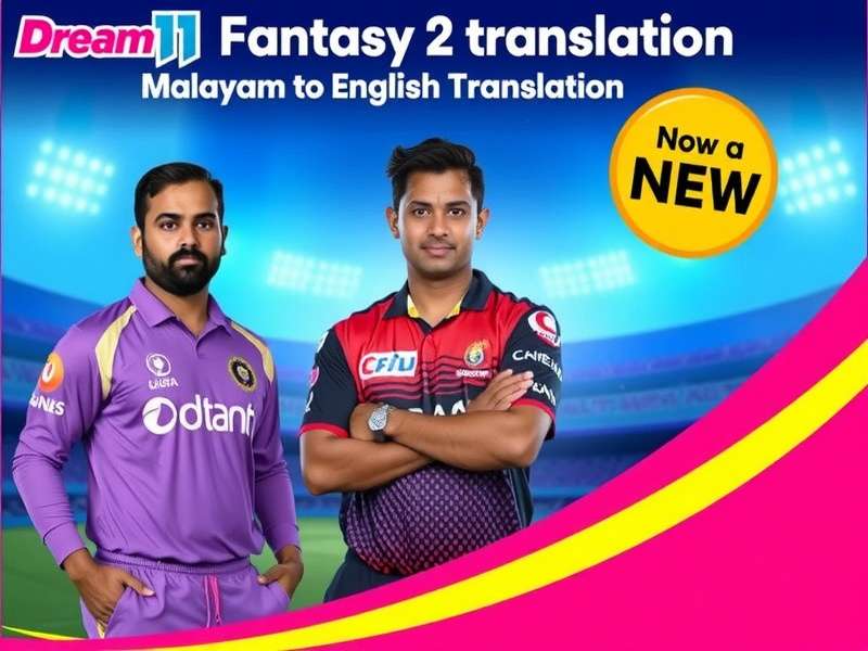 Fantasy Cricket statistical analysis dashboard showing player performance